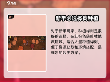 饥荒新家园🔥营地种桦树竟然如此厉害！💡截图2