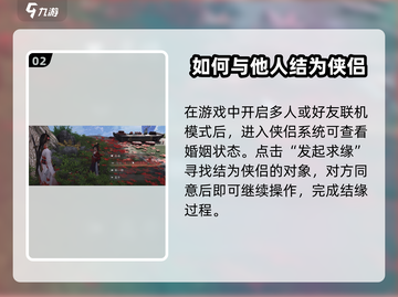 燕云十六声🔥侠侣玩法全攻略，轻松上手制霸江湖！截图3