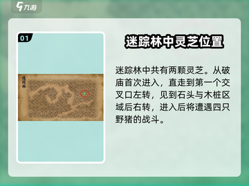 大侠立志传🔥迷踪林灵芝位置全揭秘！💡截图2