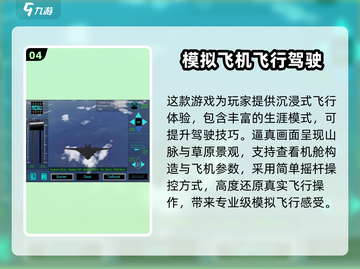 🔥2024最火单机飞行游戏大揭秘！✈截图5