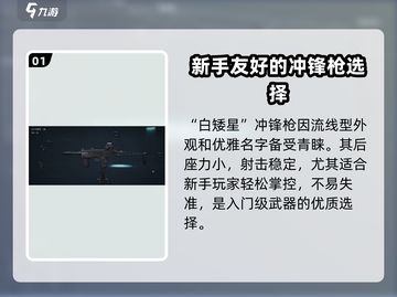 三角洲行动🔥全枪械曝光，玩家必看秘籍！截图2