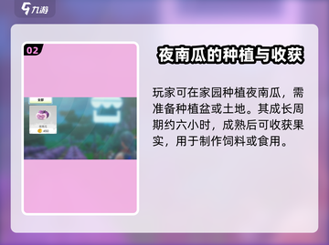 创造吧我们的星球 NIGHT南瓜获取攻略💎截图3