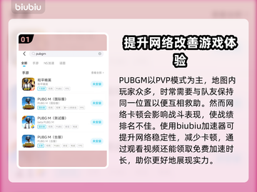 PUBGM加速器推荐🔥让你游戏体验更顺畅！🎮截图2