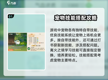 离火之境🔥宠物技能搭配推荐，秒杀boss必备！截图2