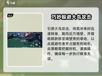 鸣潮⚡双生翎鹭打法攻略，轻松通关秘籍！🔥截图3