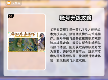 💎王者荣耀贵5号竟要充这么多？💰交易平台大揭秘！🎮截图2