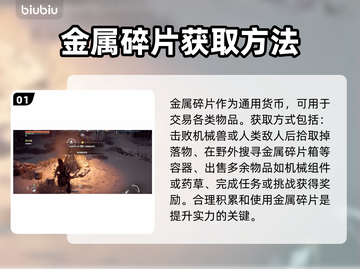 地平线零之曙光：背包满了怎么办？🔥💡截图2