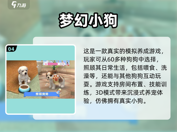 2025超🔥休闲模拟游戏合集🎉下载必玩！截图5