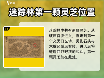 大侠立志传🔥迷踪林灵芝位置全揭秘！截图2