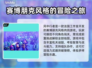风中行者加速器推荐🎉游戏玩家必备神器！截图2