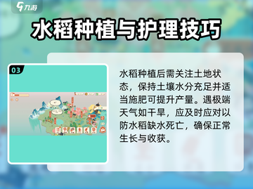 《淡墨水云乡》水稻种植大揭秘🔥游戏技巧全攻略！截图4