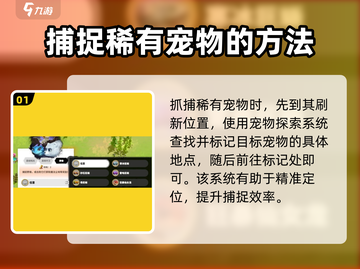 万龙觉醒🔥抓稀有宠物超全攻略💡截图2