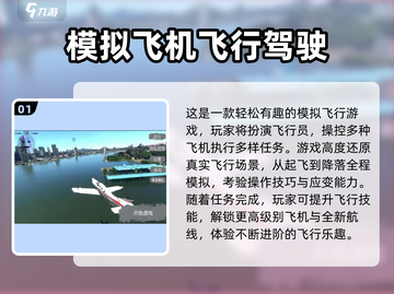 ✈2025超好玩飞行模拟器游戏合集！截图2