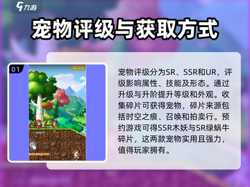 冒险岛联盟的意志🔥宠物搭配推荐来啦！截图2