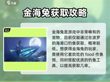 黎明之海💎金海兔获取攻略，快速入手秘籍！💥截图3