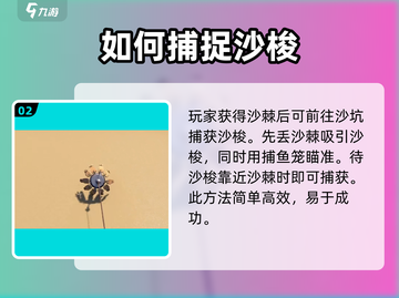 沙石镇时光🔥大沙梭获取全攻略！玩家必看👇截图3