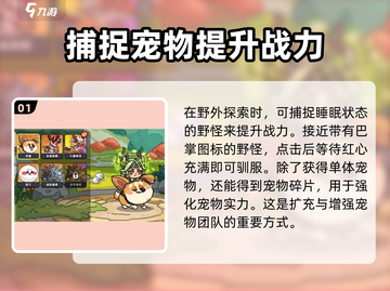 英勇之地💥宠物出战附身攻略来啦！🎮截图2