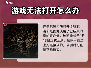归龙潮🔥打不开？速看解决方法！🎮截图2