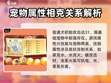 洛克王国💥宠物资质查看方法来了！💡截图3