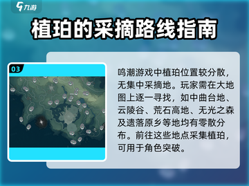 鸣潮植珀采集路线🔥游戏党必看！超全方向攻略来啦～截图4
