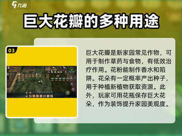饥荒新家园：巨大花朵玩法大揭秘！💐截图4
