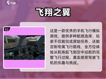 ✈十大模拟飞行游戏推荐，玩家直呼过瘾！截图3