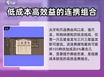 驯龙高手旅程🔥连携全攻略✨带你轻松制霸天空王国！截图10