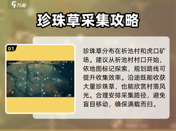 鸣潮💎珍珠草位置大揭秘！玩家必看📍截图2