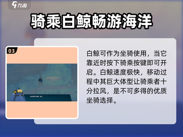 潜水员戴夫🔥白鲸获得方式&骑乘技巧大公开！游戏技巧🌟截图4