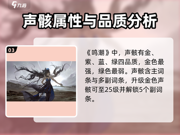 鸣潮暗鬃狼🔥声骸攻略超详细！新手必看截图4