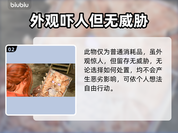博德之门3：死灵书🔥超全作用解析！💡截图3