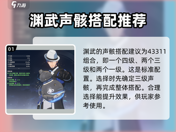 鸣潮🔥渊武声骸最佳搭配攻略来了！快收藏🌟截图2