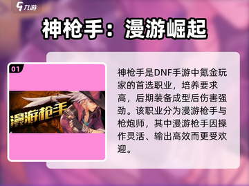 DNF手游🔥漫游枪手强度炸裂💥截图2