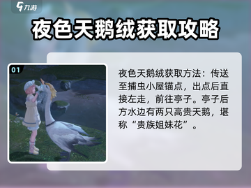 无限暖暖🔥夜色天鹅绒获取攻略💎截图2