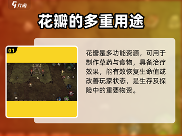 饥荒新家园🔥巨大花朵全解析꽃截图2