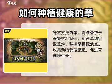 饥荒新家园💡种花草全流程解析！花卉达人必看🌱截图4
