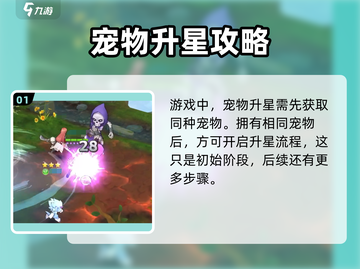空之勇者手游🔥宠物升星秘籍大曝光！✨截图2