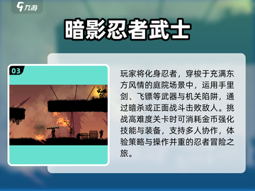 🔥2025最火黑色忍者闯关手游💥截图4
