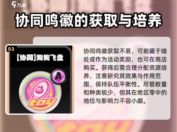 绝区零🔥协同鸣徽超强攻略🌟新手必看！截图4