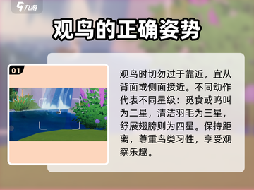 心动小镇🔥超全观鸟技巧分享🎉截图2