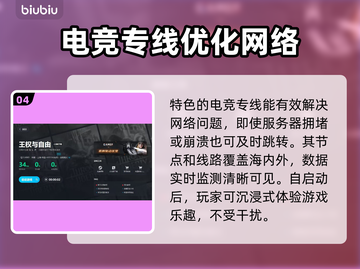 王权与自由卡顿🔥用这个加速器瞬间流畅！截图5