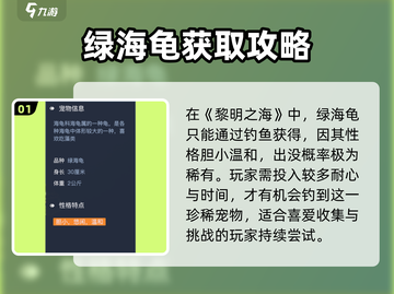 🎮《黎明之海》绿海龟神出没！截图2