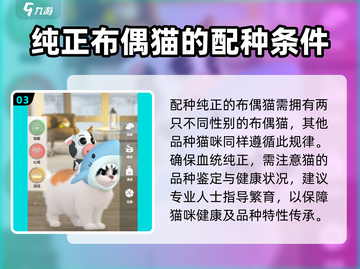 超喵星计划：布偶猫配对秘籍，快速养成猫咪王者🎉截图4