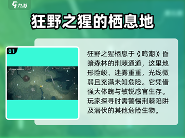 鸣潮🔥狂野之猩隐藏位置大曝光！ Gamer必看👇截图2