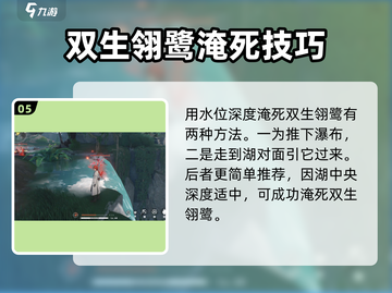 鸣潮🔥双生翎鹭打法详解，轻松通关秘籍！🎉截图6