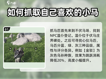 燕云十六声🔥超简单抓马技巧，快速获取强力坐骑！截图2