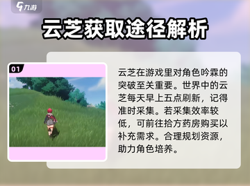 鸣潮🔥云芝具体位置大起底！玩家必看💎截图2