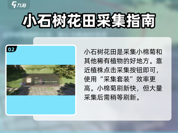 无限暖暖🔥小棉菊采集攻略✨玩家必看！截图3