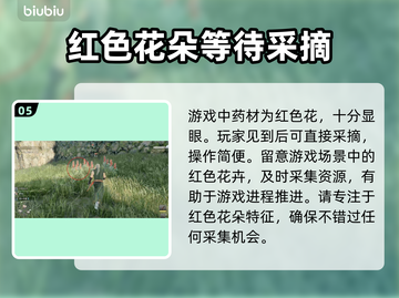浪人崛起🔥寻找药材任务完成攻略来啦！截图6