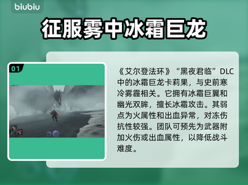 艾尔登法环黑夜君临攻略💡雾中裂缝&黑夜雾霾卡莉果必看！截图2